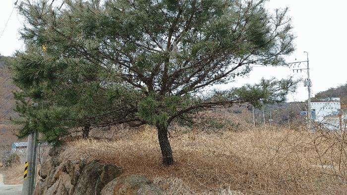 2025타경330 법원경매 사진2 | 전남 순천시 창고용지 경매