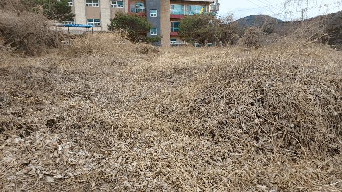 2025타경330 법원경매 사진7 | 전남 순천시 창고용지 경매