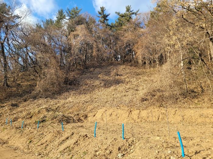 2025타경50268 법원경매 사진2 | 전남 고흥군 임야 경매