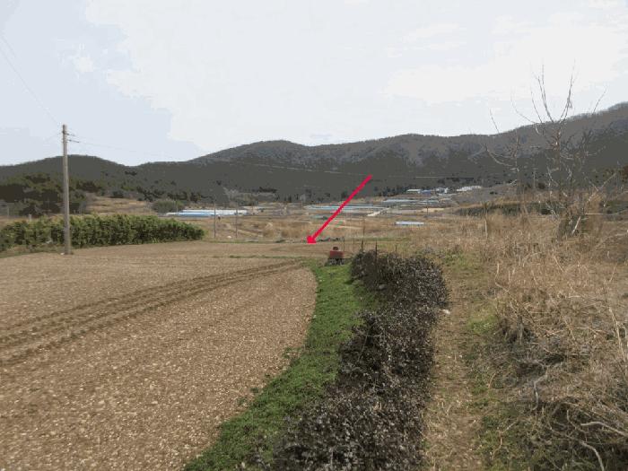 전라남도 여수시 돌산읍 둔전리 513 법원경매 물건 대표사진