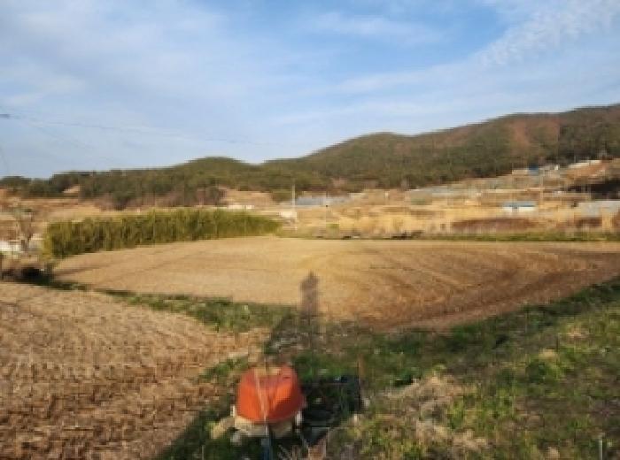 2025타경51156 법원경매 사진3 | 전남 여수시 전 경매