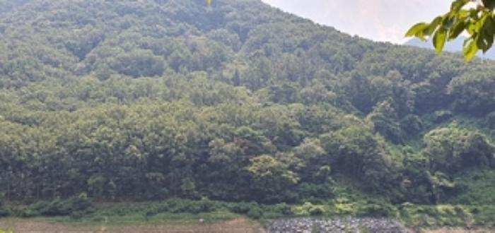 2024타경5673 법원경매 사진4 | 경남 김해시 임야 경매