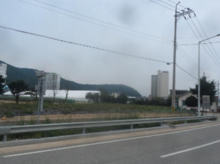법원경매 2024타경1451 사진3 | 평창군 진부면 답 경매