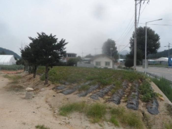 법원경매 2024타경1451 사진4 | 평창군 진부면 답 경매
