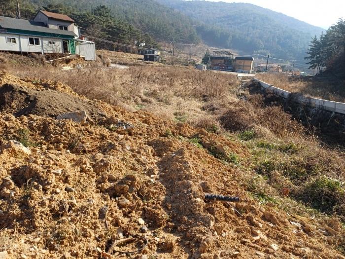 법원경매 2024타경14837 사진5 | 경주시 광명동 803 답 경매