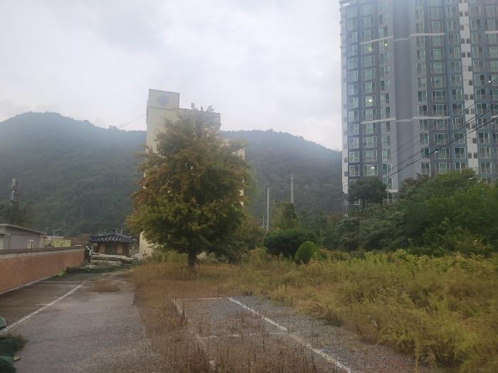 법원경매 2024타경2653 사진9 | 구미시 구평동 388-1 노유자시설 경매
