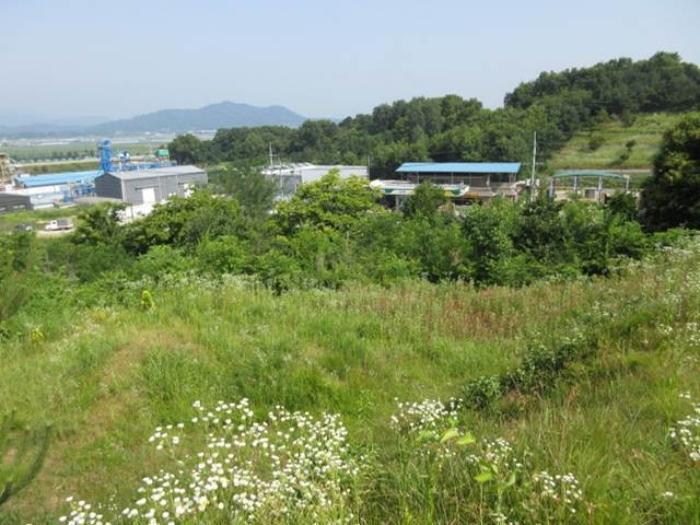 법원경매 2024타경71768 사진10 | 상주시 사벌국면 엄암리 621-3 주택건물 경매