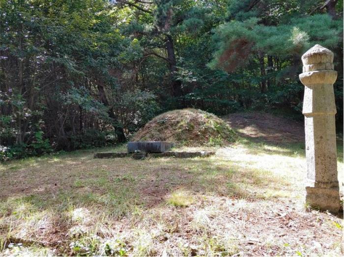 경남 함양군 지곡면 보산리 1145-5 과수원 사진 4