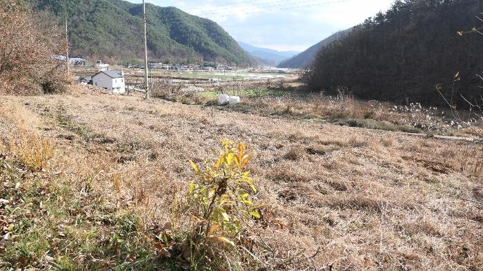 2024타경12437 법원경매 사진5 | 경남 합천군 전 경매