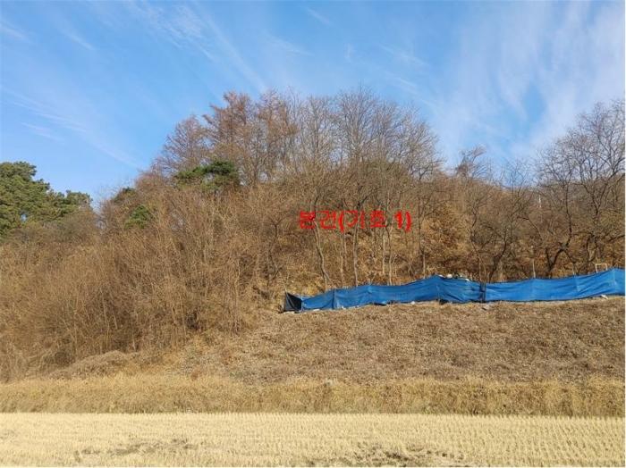 2024타경1246 법원경매 사진3 | 경남 함양군 임야 경매