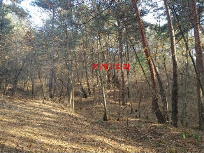 2024타경1246 법원경매 사진5 | 경남 함양군 임야 경매