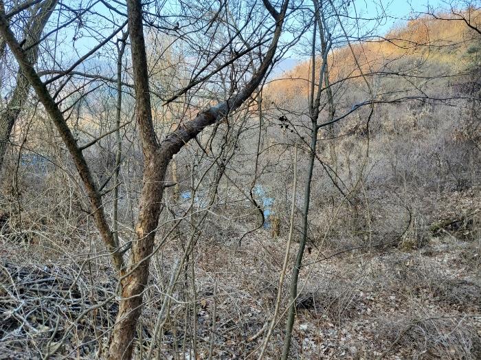 강원특별자치도 원주시 부론면 정산리 936 법원경매 물건 대표사진