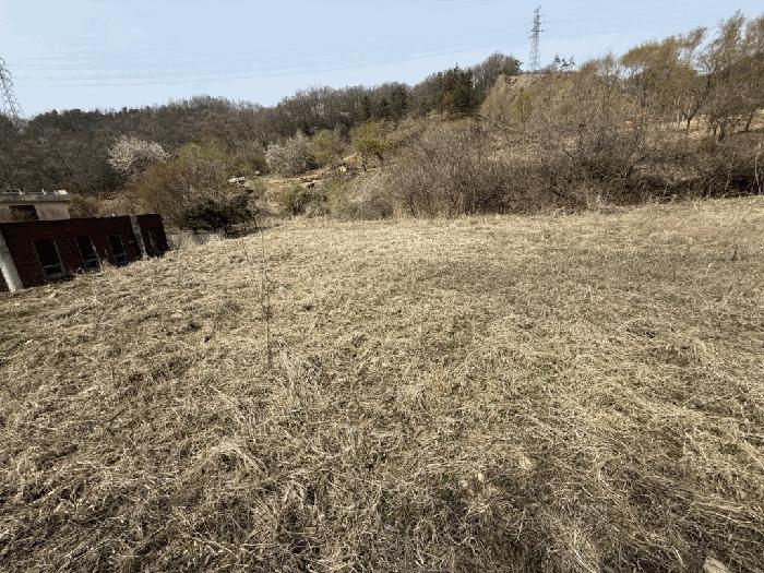 법원경매 2025타경50564 사진2 | 춘천시 남면 추곡리 1 임야 경매
