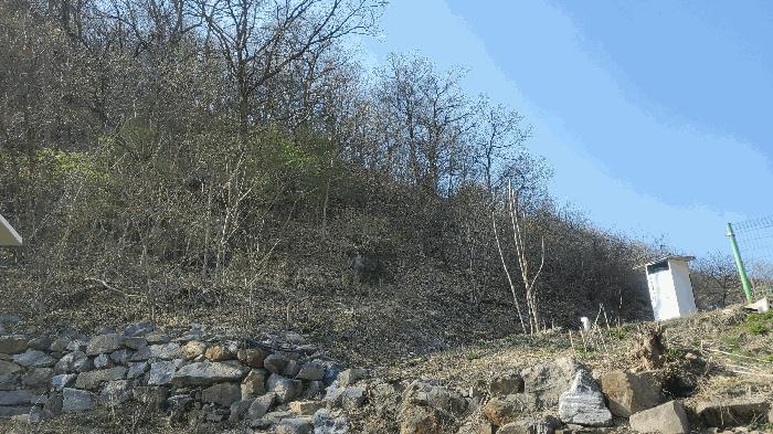 법원경매 2025타경50604 사진3 | 춘천시 남산면 수동리 임야 경매