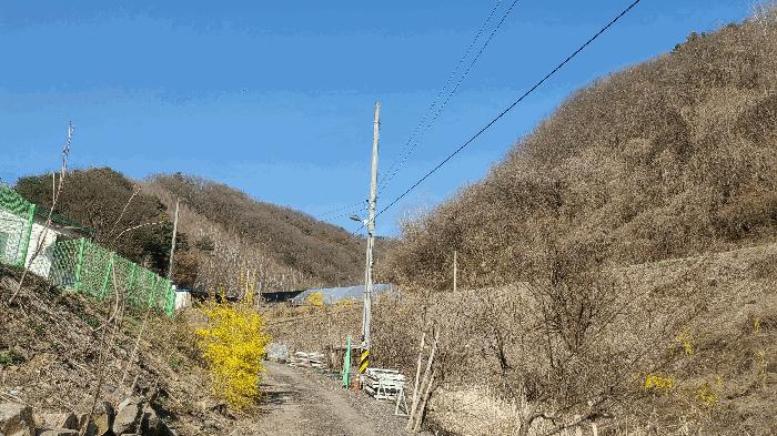 법원경매 2025타경50604 사진5 | 춘천시 남산면 수동리 임야 경매