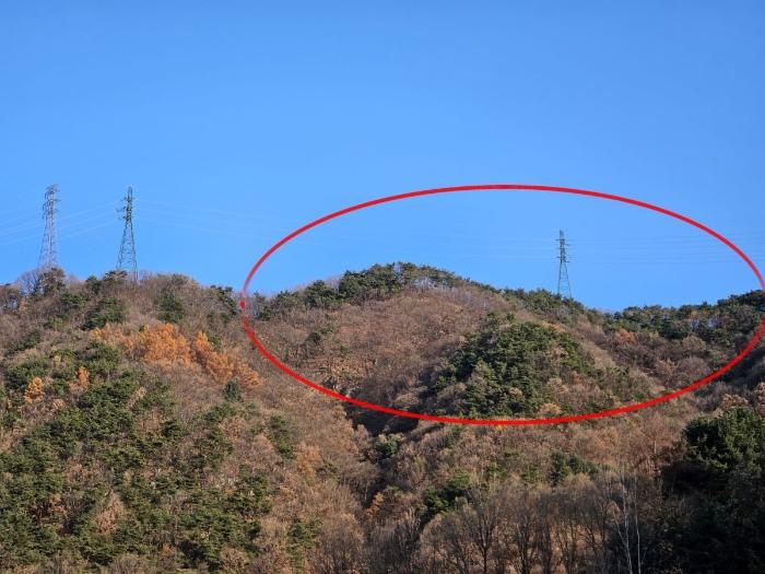 충청북도 충주시 호암동 산24-3 법원경매 물건 대표사진