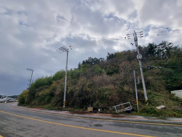 2024타경3853 법원경매 사진6 | 전북 군산시 전 경매