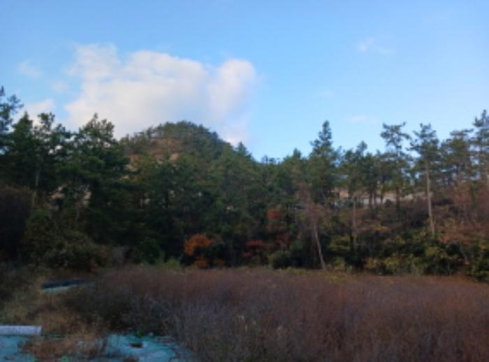2024타경3853 법원경매 사진33 | 전북 군산시 임야 경매