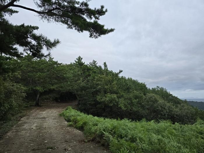 2024타경37284 법원경매 사진2 | 경남 남해군 임야 경매