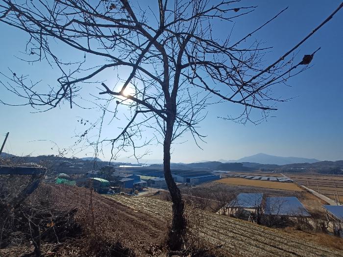 법원경매 2025타경30181 사진2 | 사천시 서포면 선전리 649 전 경매