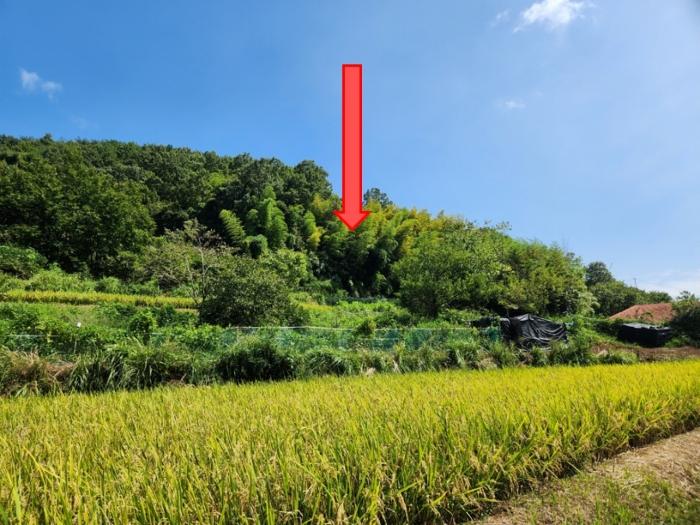 2024타경28597 법원경매 사진2 | 경남 거제시 임야 경매