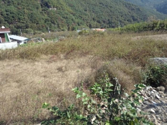 2024타경2536 법원경매 사진3 | 경남 밀양시 대지 경매