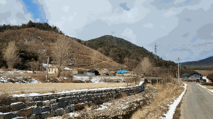 2025타경15506 법원경매 사진2 | 충남 보령시 임야 경매