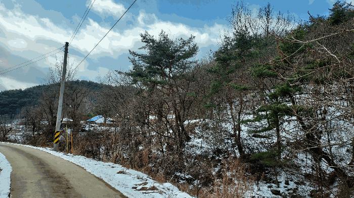 2025타경15506 법원경매 사진3 | 충남 보령시 임야 경매