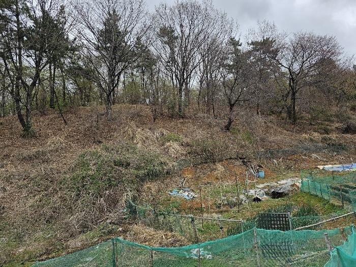 2024타경103269 법원경매 사진2 | 울산 남구 임야 경매