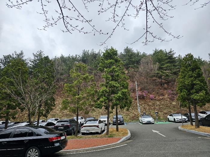 2024타경103269 법원경매 사진4 | 울산 남구 임야 경매