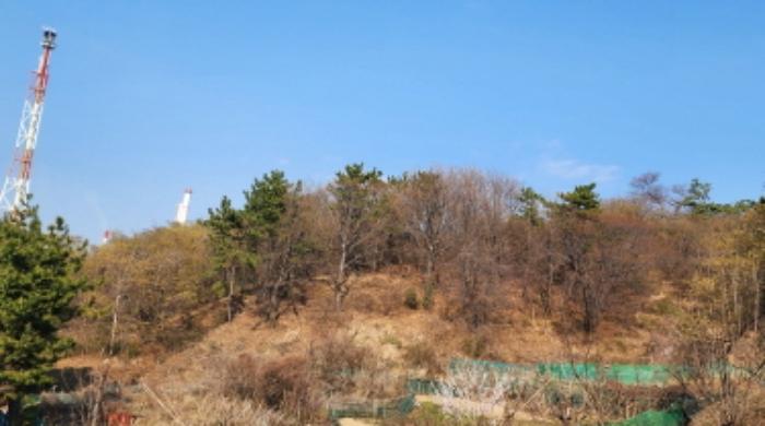 2024타경103269 법원경매 사진9 | 울산 남구 임야 경매