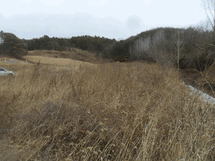 2024타경2919 법원경매 사진2 | 경남 함안군 전 경매