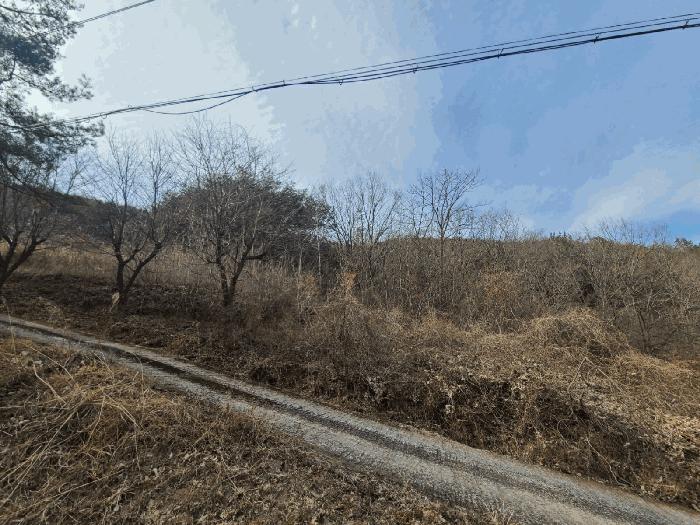 2025타경172 법원경매 사진2 | 경남 의령군 임야 경매
