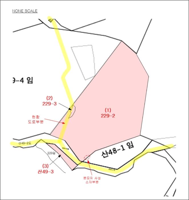 법원경매 2024타경56802 사진14 | 안성시 서운면 임야 경매
