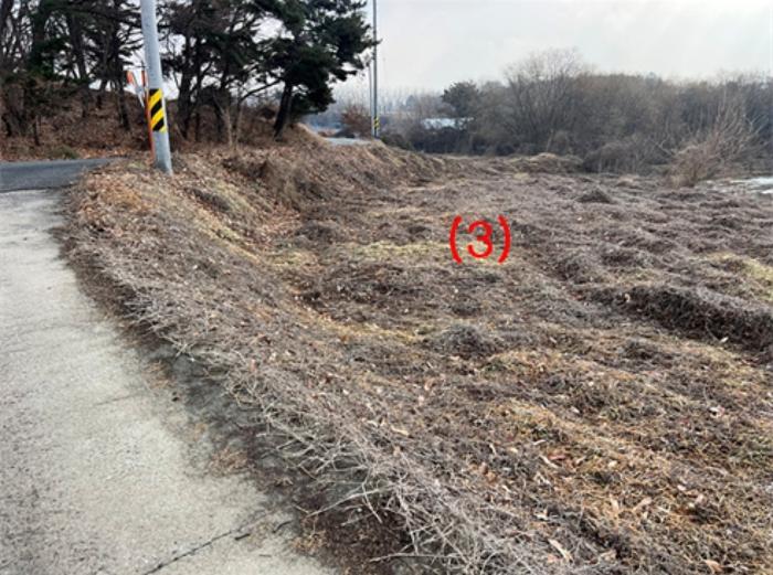 법원경매 2024타경56802 사진3 | 안성시 서운면 임야 경매
