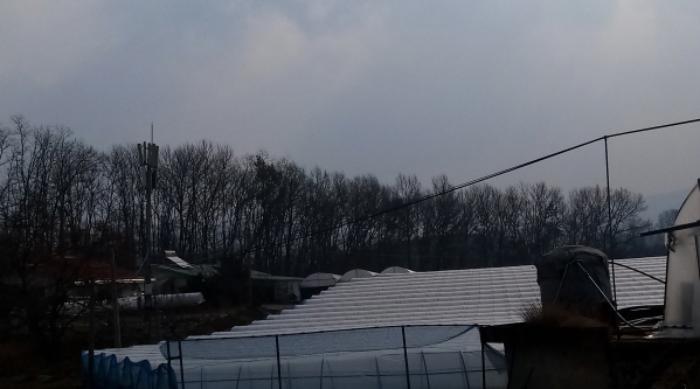 법원경매 2024타경56802 사진8 | 안성시 서운면 임야 경매