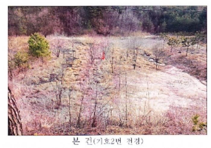 법원경매 2021타경30541 사진3 | 강릉시 사천면 석교리 520-2 답 경매