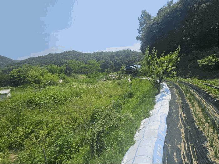 2024타경1756 법원경매 사진8 | 충북 음성군 주택건물 경매