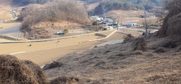 2025타경29 법원경매 사진2 | 충북 제천시 임야 경매