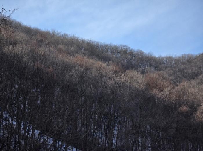 충청북도 제천시 봉양읍 학산리 산10 법원경매 물건 대표사진