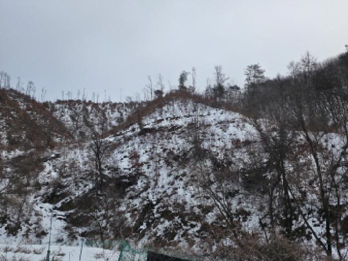 법원경매 2025타경67 사진2 | 제천시 봉양읍 학산리 임야 경매