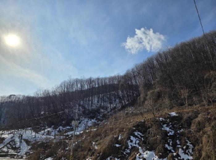 법원경매 2025타경67 사진5 | 제천시 봉양읍 학산리 임야 경매