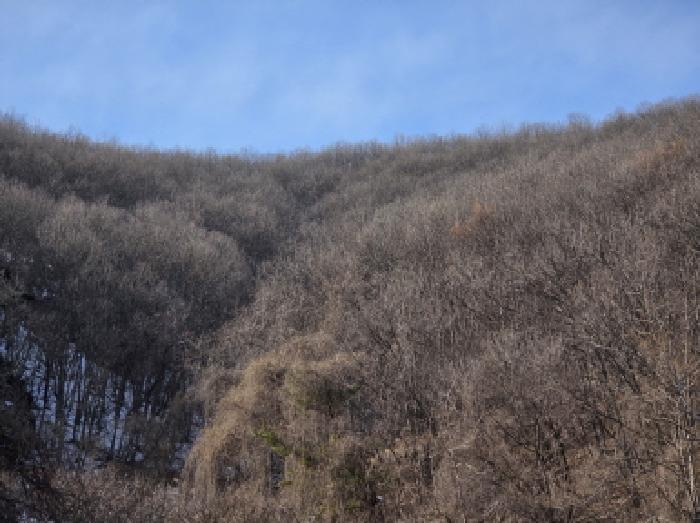 법원경매 2025타경67 사진6 | 제천시 봉양읍 학산리 임야 경매