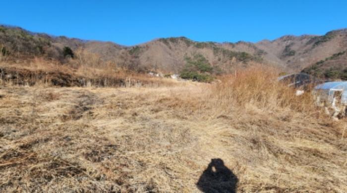 2025타경5062 법원경매 사진7 | 충북 제천시 답 경매