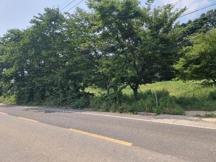 법원경매 2024타경33536 사진3 | 포항시 북구 청하면 서정리 382 전 경매