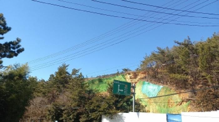 2025타경20984 법원경매 사진21 | 경남 거제시 임야 경매