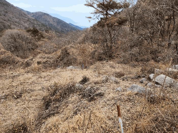 2025타경21017 법원경매 사진3 | 경남 고성군 임야 경매