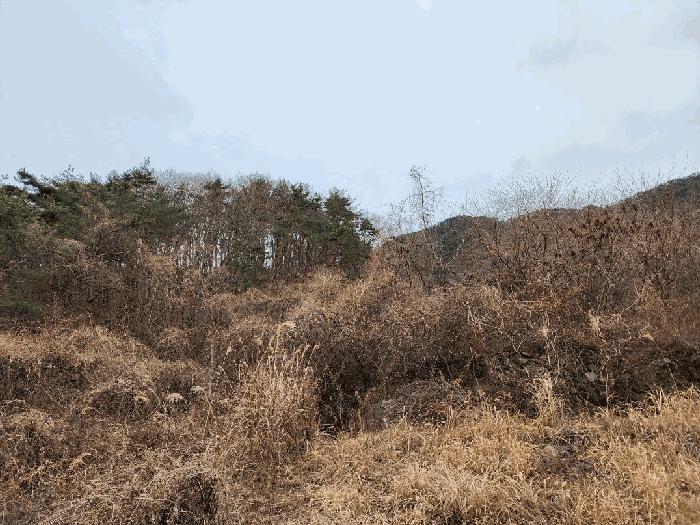2025타경21017 법원경매 사진5 | 경남 고성군 임야 경매