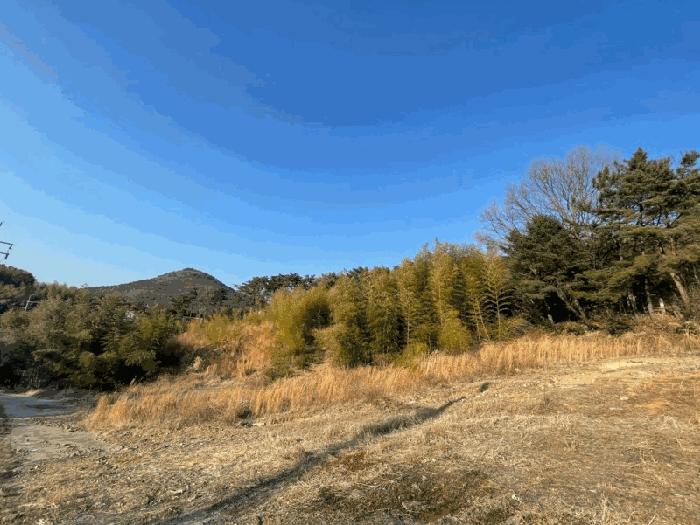 경남 거제시 하청면 석포리 산15-16 임야 사진 2