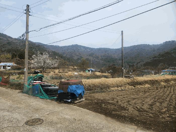 2025타경21161 법원경매 사진2 | 경남 거제시 답 경매